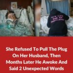 (video)Her Doctor Told Her To Pull The Plug But 2 Simple Words Changed Everything