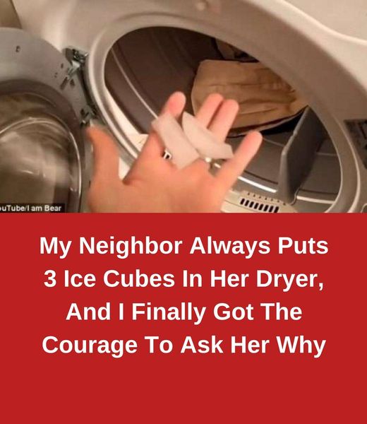 (VIDEO)My Neighbor Always Puts 3 Ice Cubes In Her Dryer, And I Finally Got The Courage To Ask Her Why