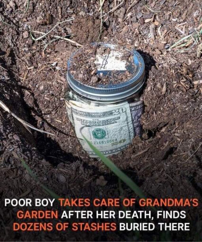 POOR BOY TAKES CARE OF GRANDMA’S GARDEN AFTER HER DEATH, FINDS DOZENS OF STASHES BURIED THERE – A SHORT STORY