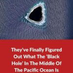 The Secret Of The Pacific Black Hole Has Been Revealed