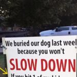 After dog is hit and killed by car, family’s warning sign sparks neighborhood conversation