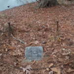 Tears Filled My Eyes When I Saw What Was Written On This Tiny Grave In The Middle Of The Woods