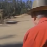 (VIDEO)Old Man Goes To Visit His Elephant After 15 Yrs…But What The Elephant Does Next? I’ve Goosebumps!