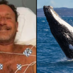 Man Swallowed Whole By Whale Says It Wasn’t Even The Scariest Thing To Happen To Him