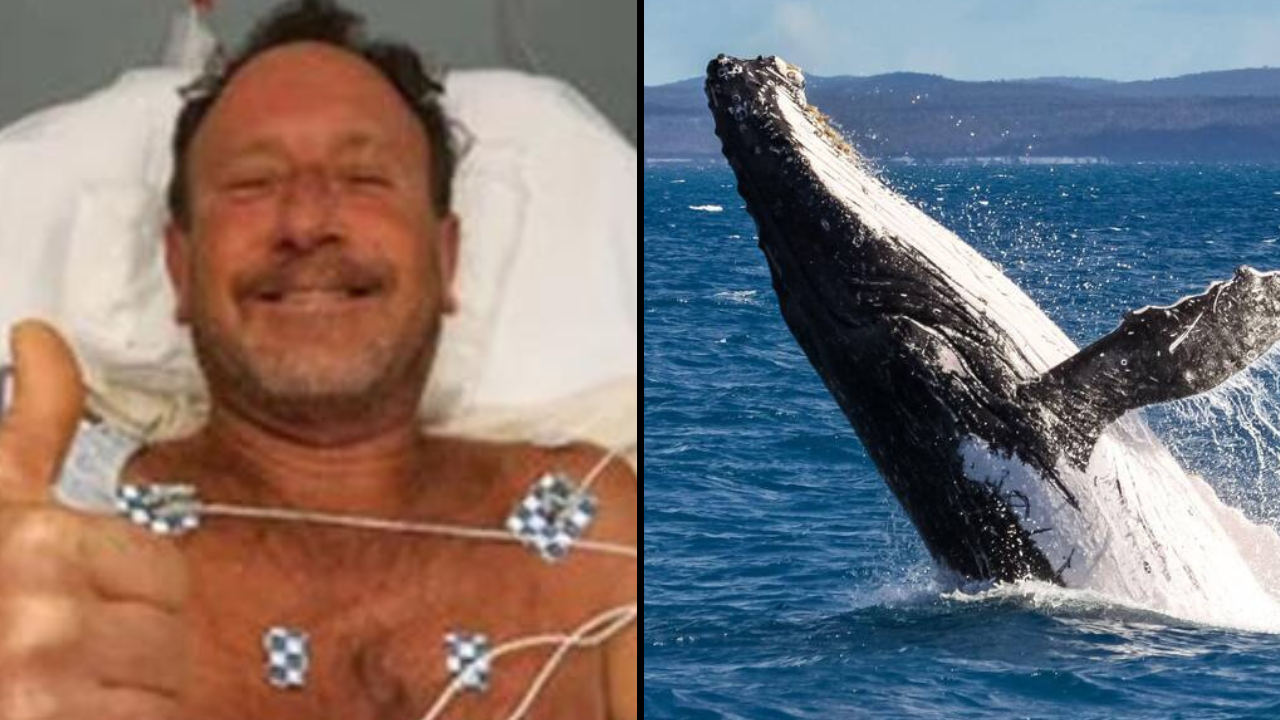 Man Swallowed Whole By Whale Says It Wasn’t Even The Scariest Thing To Happen To Him