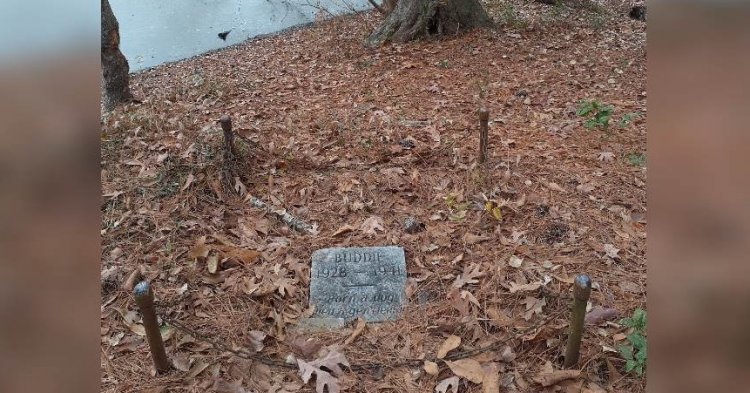 When I Saw What Is Written On This Tiny Grave In The Middle Of The Woods My Eyes Filled With Tears