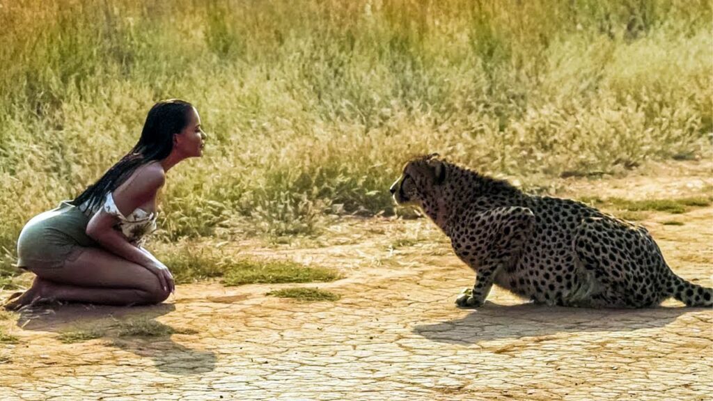 (VIDEO)Woman Decided to Help the Sick CHEETAH, What Happened After will SHOCK you!