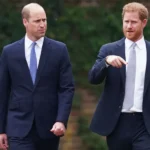 Why ‘Reconciliation May Never Happen’ Between Brothers Prince William & Harry