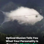 Optical Illusion Tells You What Your Personality Is Based On What You See