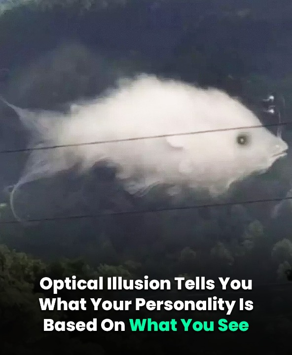 Optical Illusion Tells You What Your Personality Is Based On What You See