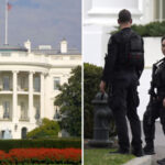 Police Make Arrest After Woman Tries to Scale White House Fence