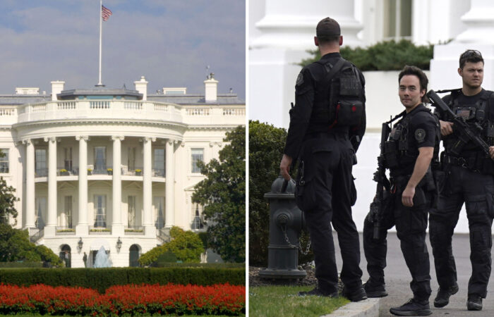 Police Make Arrest After Woman Tries to Scale White House Fence